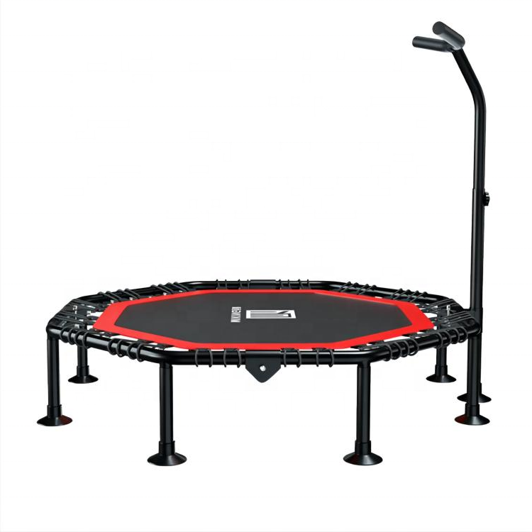 Trampoline with Adjustable Han - مراجعة Home Gym Trainer وسعره