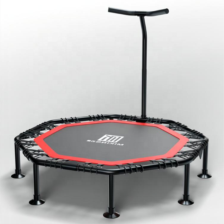 Trampoline with Adjustable Han - مراجعة Home Gym Trainer وسعره