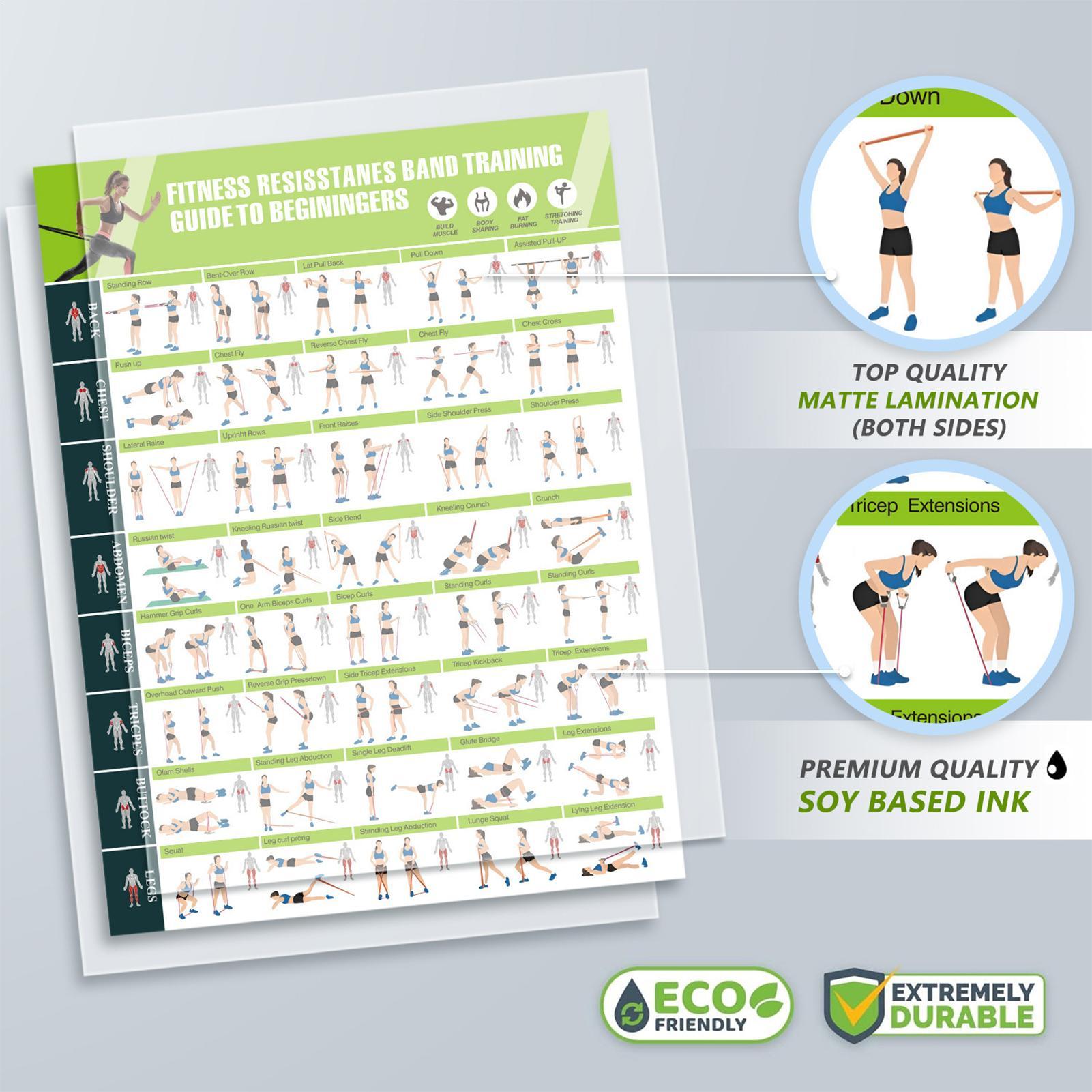 Workout Posters with Resistanc - مراجعة Home Gym Guide وسعره