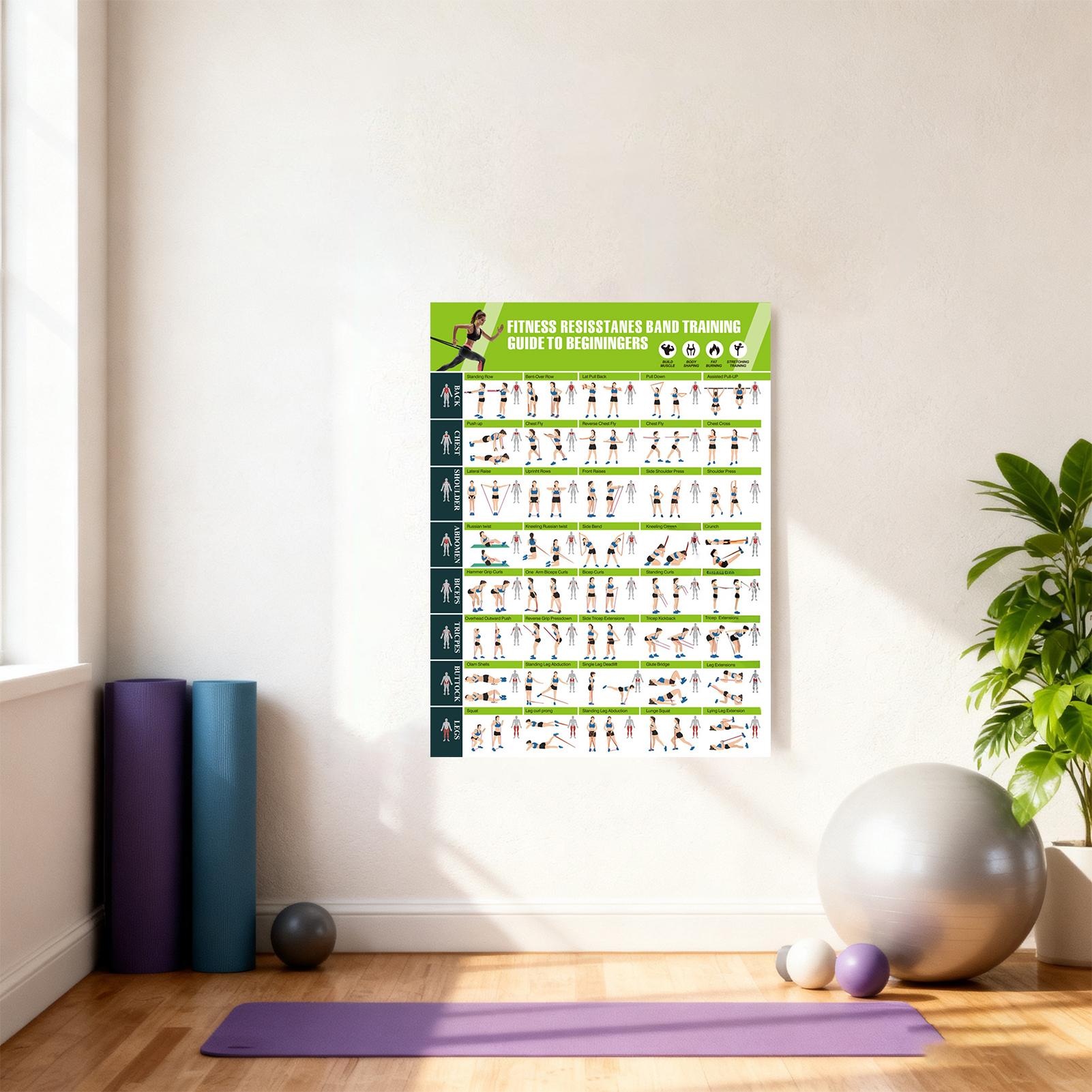 Workout Posters with Resistanc - مراجعة Home Gym Guide وسعره