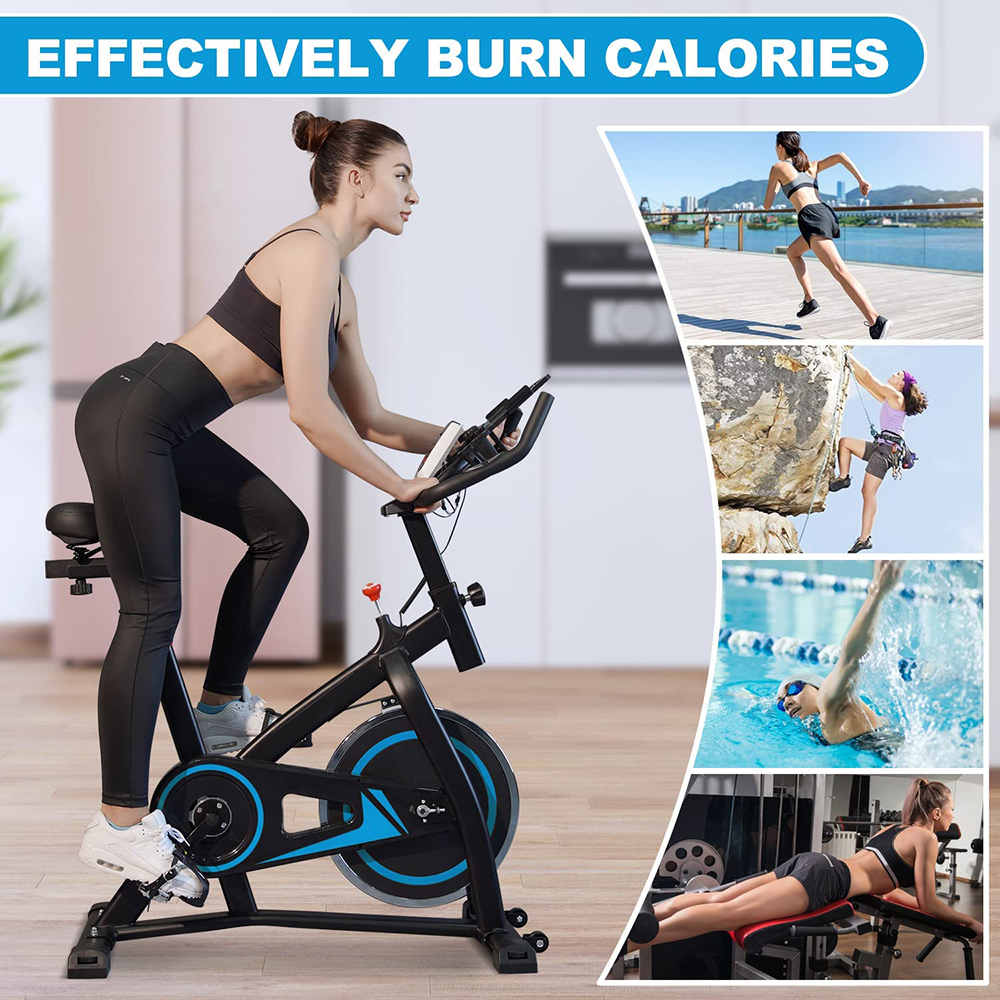 Workout Home Indoor Fitness Tr - مراجعة Home Gym Trainer وسعره