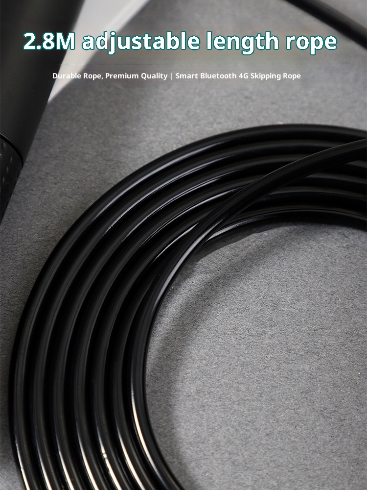 EE High Quality ABS Material D - مراجعة Jump Rope Bearing وسعره