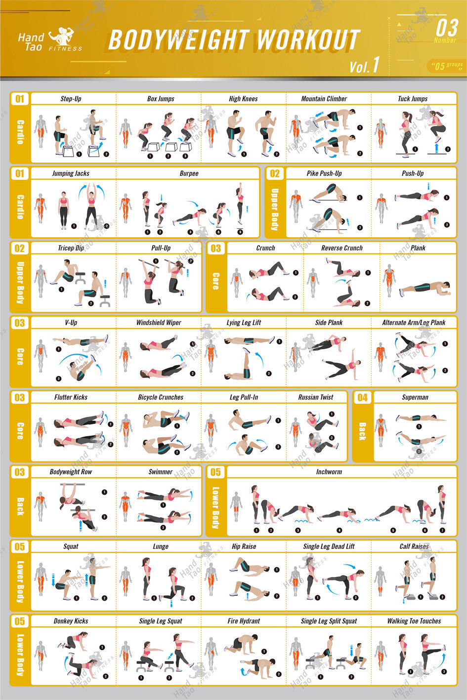 Bodyweight workout Exercise Bo - مراجعة Home Gym Guide وسعره
