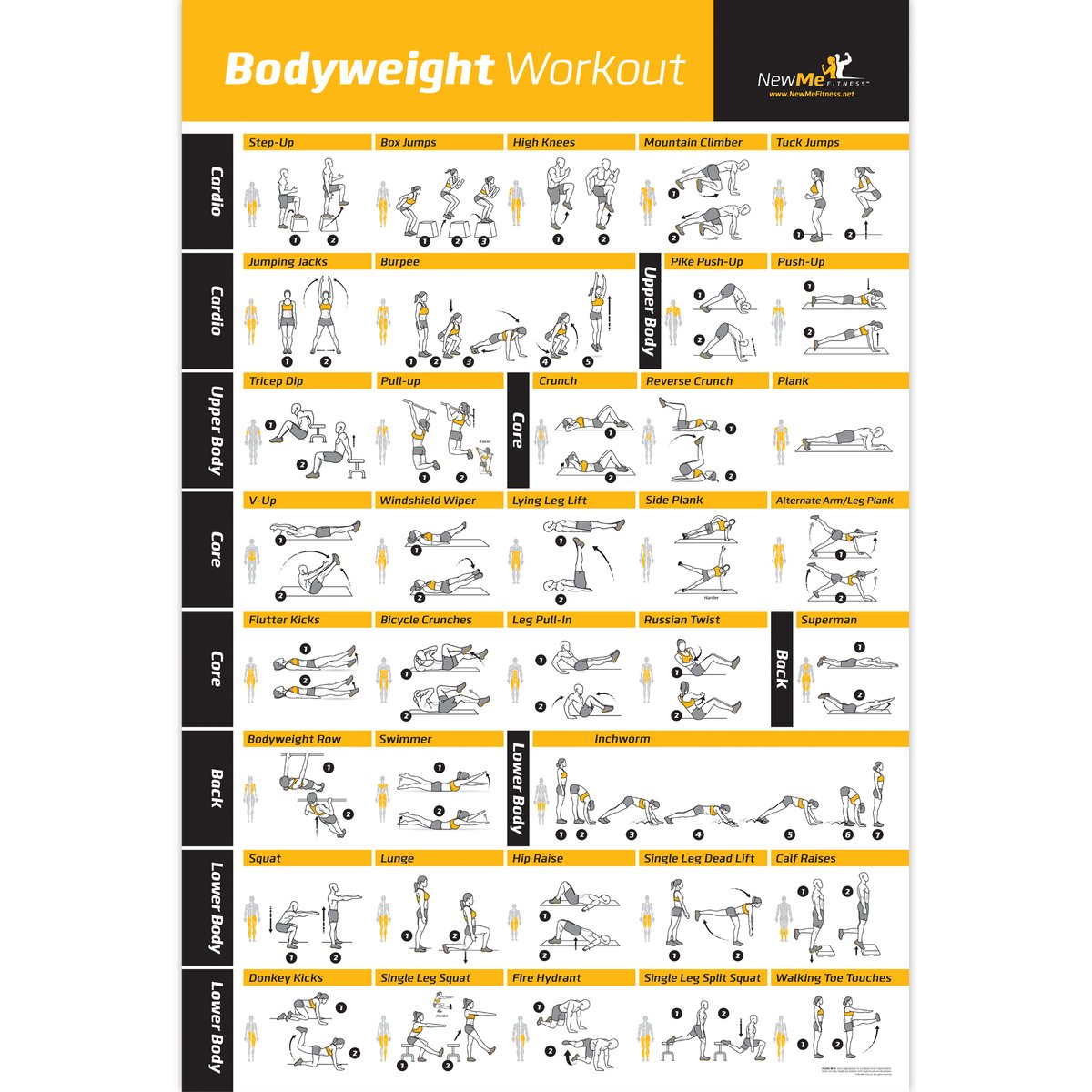 Bodyweight workout Exercise Bo - مراجعة Home Gym Guide وسعره