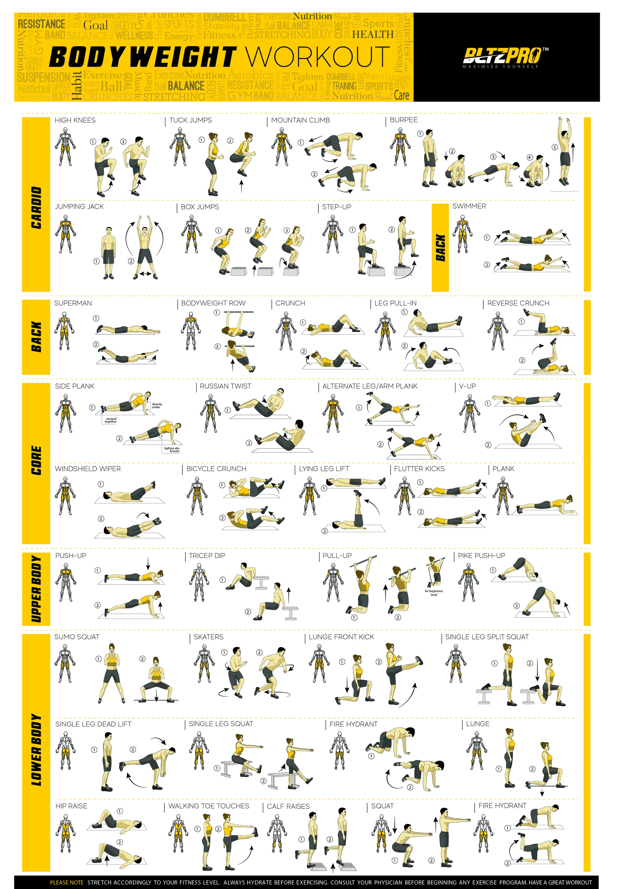 Bodyweight workout Exercise Bo - مراجعة Home Gym Guide وسعره